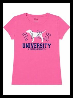 💕ℙ𝕀ℕ𝕂 𝕍𝕊 “PINK UNIVERSITY” HTF/VINTAGE/RARE Crewneck Tee NWOT💕